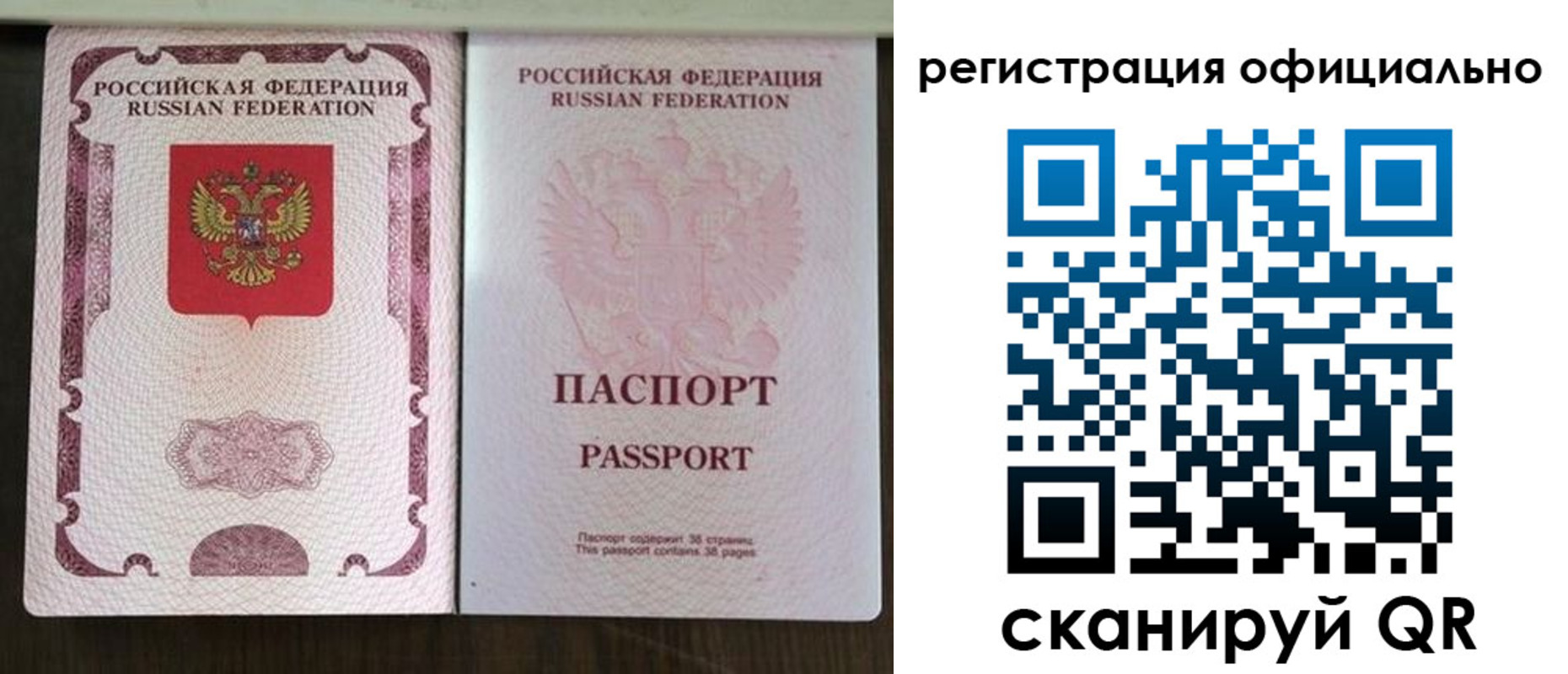 регистрация для школы в Ленинградской области