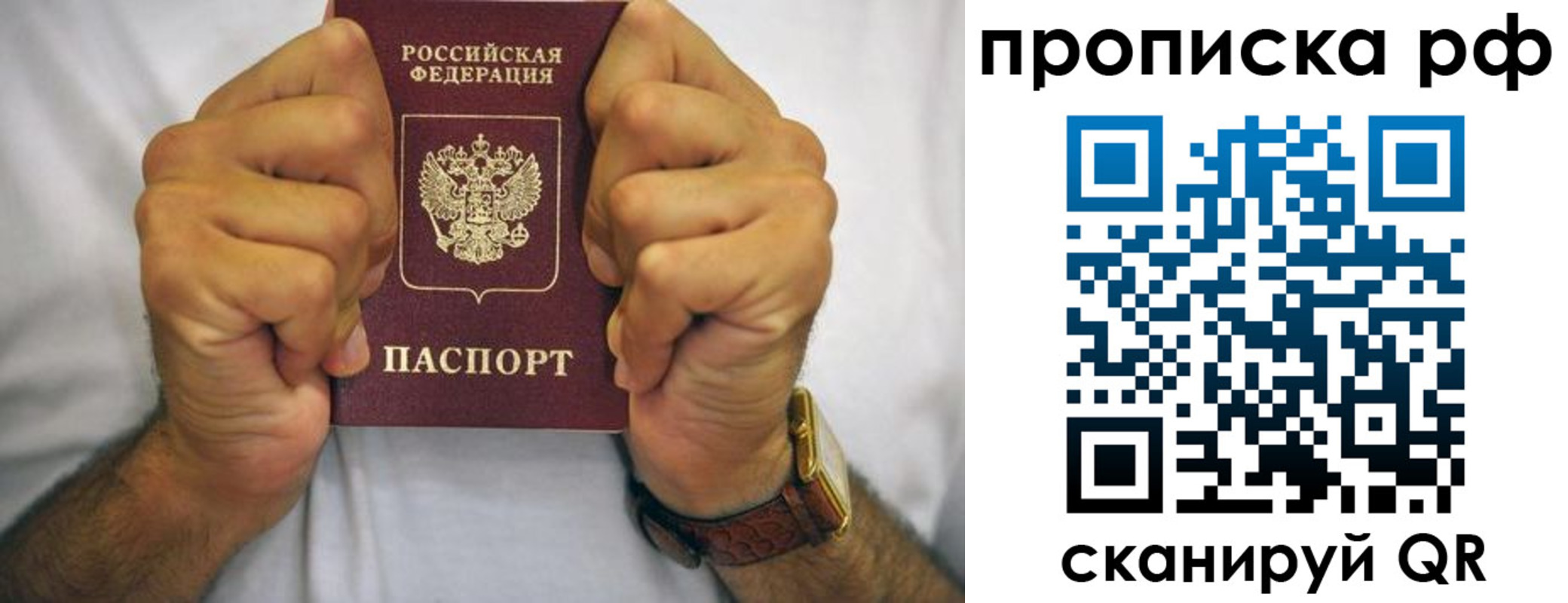 прописка регистрация в Ленинградской области